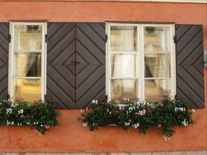 Preview wallpaper windows, flowers, facade, shutters