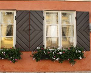 Preview wallpaper windows, flowers, facade, shutters