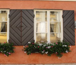 Preview wallpaper windows, flowers, facade, shutters