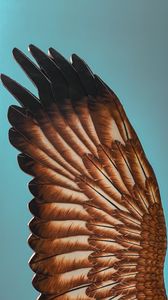 Preview wallpaper wing, feathers, sculpture, sky