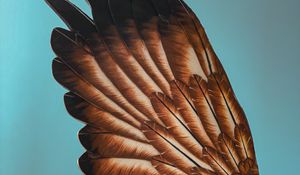 Preview wallpaper wing, feathers, sculpture, sky