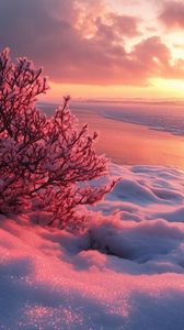 Preview wallpaper winter, beach, snow, bush, sea