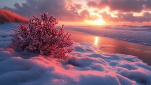 Preview wallpaper winter, beach, snow, bush, sea