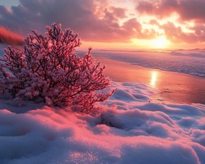 Preview wallpaper winter, beach, snow, bush, sea