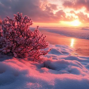 Preview wallpaper winter, beach, snow, bush, sea