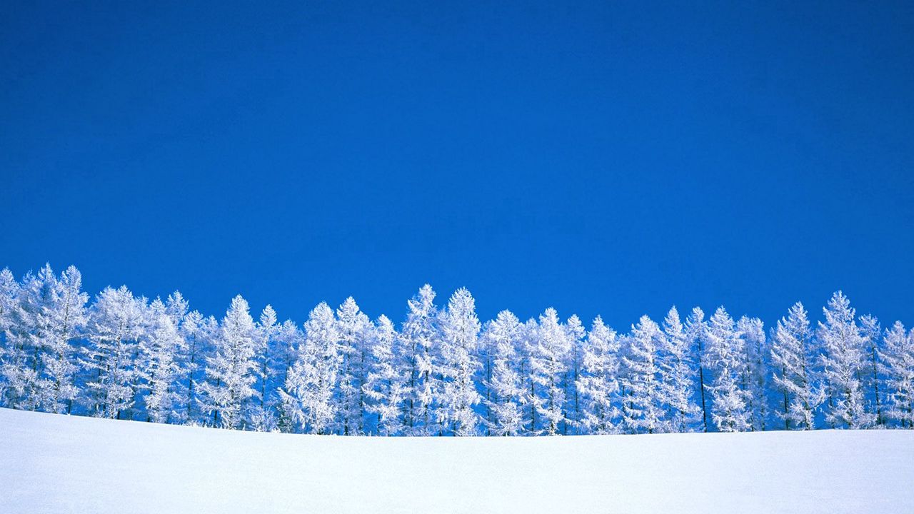 Wallpaper winter, blue, white, sky, pure, trees