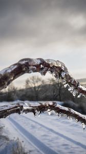 Preview wallpaper winter, branches, ice, snow