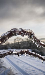 Preview wallpaper winter, branches, ice, snow