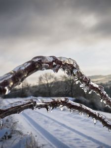 Preview wallpaper winter, branches, ice, snow