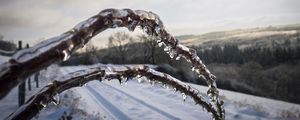 Preview wallpaper winter, branches, ice, snow