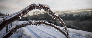 Preview wallpaper winter, branches, ice, snow