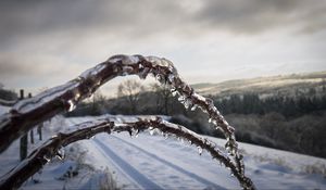 Preview wallpaper winter, branches, ice, snow