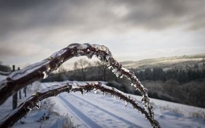 Preview wallpaper winter, branches, ice, snow