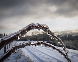 Preview wallpaper winter, branches, ice, snow