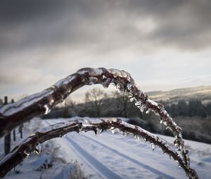 Preview wallpaper winter, branches, ice, snow