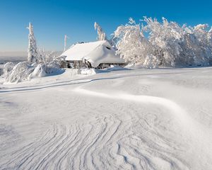 Preview wallpaper winter, building, snow, trees, drifts