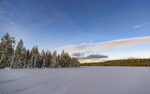 Preview wallpaper winter, field, spruces, snow, clouds, nature