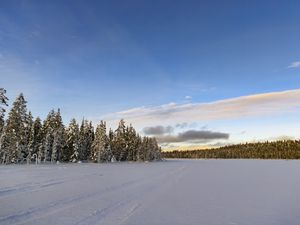 Preview wallpaper winter, field, spruces, snow, clouds, nature