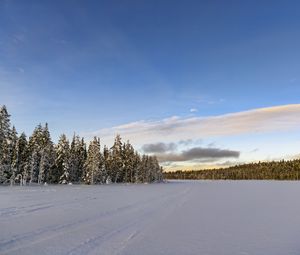 Preview wallpaper winter, field, spruces, snow, clouds, nature