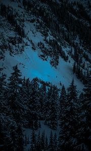 Preview wallpaper winter, firs, snow, mountains, evening
