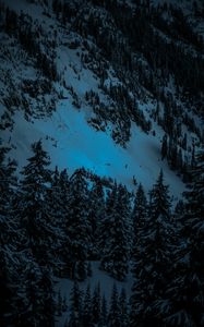 Preview wallpaper winter, firs, snow, mountains, evening