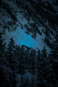 Preview wallpaper winter, firs, snow, mountains, evening