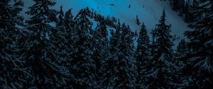 Preview wallpaper winter, firs, snow, mountains, evening