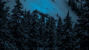 Preview wallpaper winter, firs, snow, mountains, evening