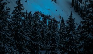 Preview wallpaper winter, firs, snow, mountains, evening