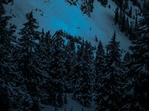 Preview wallpaper winter, firs, snow, mountains, evening