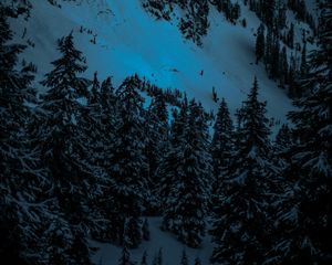 Preview wallpaper winter, firs, snow, mountains, evening