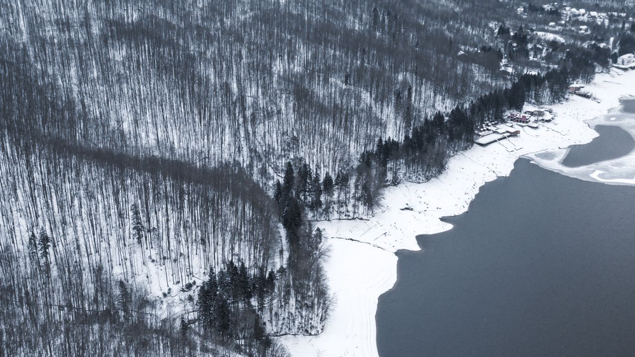 Wallpaper winter, forest, aerial view, shore, water, gray