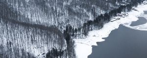 Preview wallpaper winter, forest, aerial view, shore, water, gray