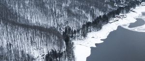 Preview wallpaper winter, forest, aerial view, shore, water, gray