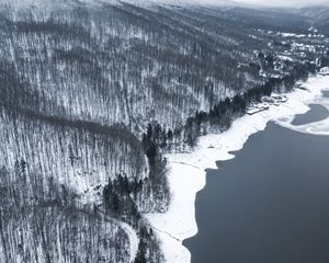 Preview wallpaper winter, forest, aerial view, shore, water, gray