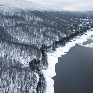 Preview wallpaper winter, forest, aerial view, shore, water, gray