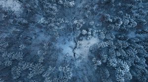 Preview wallpaper winter forest, aerial view, snow