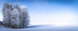 Preview wallpaper winter, forest, field, snow, nature