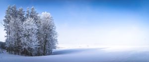 Preview wallpaper winter, forest, field, snow, nature