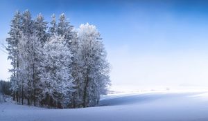 Preview wallpaper winter, forest, field, snow, nature