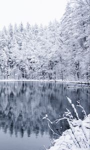 Preview wallpaper winter, forest, lake, snow, reflection