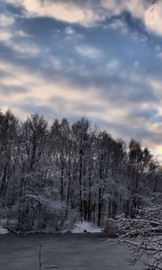 Preview wallpaper winter, forest, lake, snow