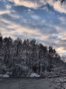 Preview wallpaper winter, forest, lake, snow