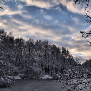 Preview wallpaper winter, forest, lake, snow