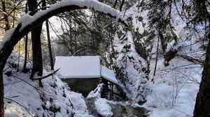 Preview wallpaper winter, forest, river, mill, landscape, beautifully
