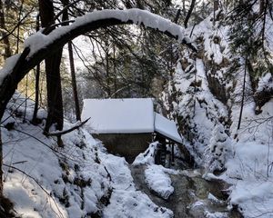 Preview wallpaper winter, forest, river, mill, landscape, beautifully