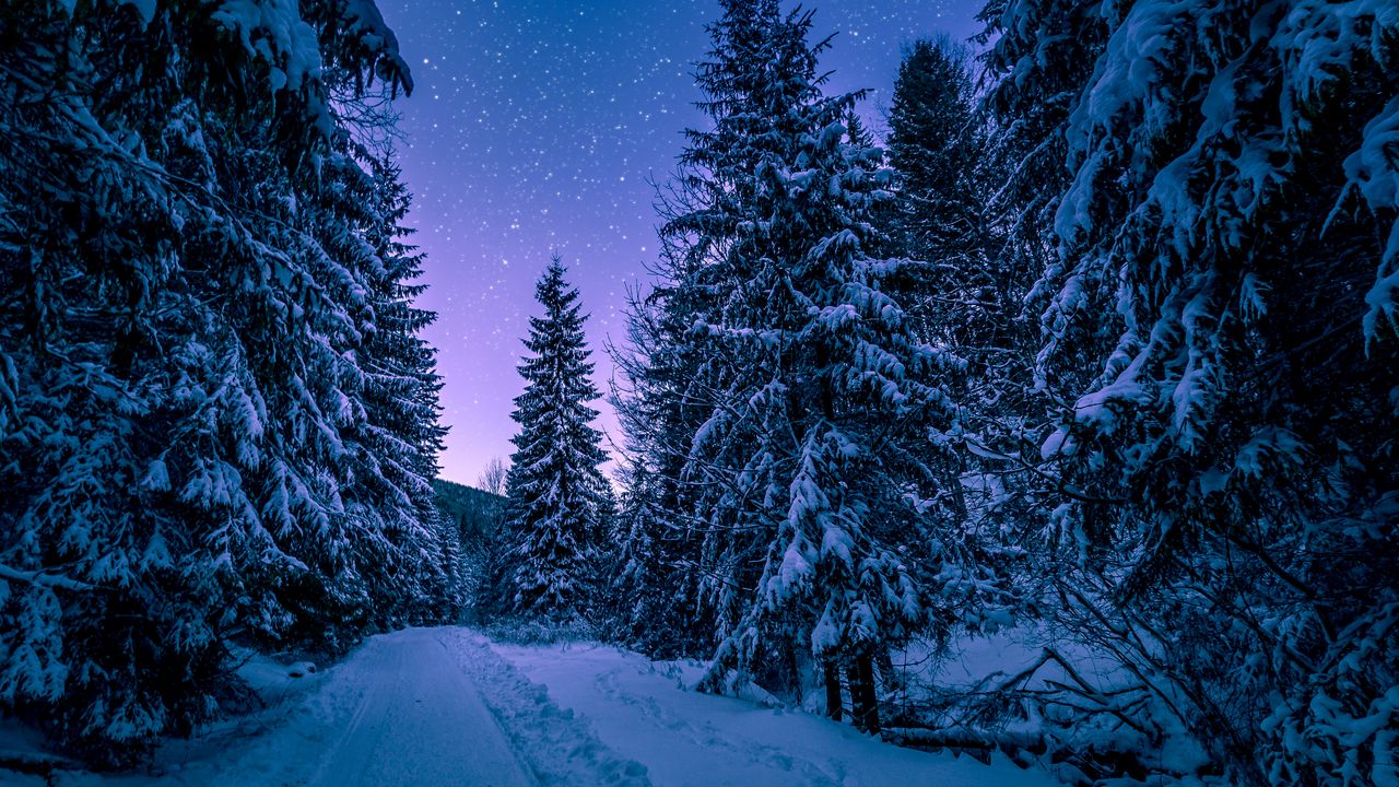 Wallpaper winter, forest, road, snow, starry sky