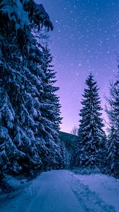 Preview wallpaper winter, forest, road, snow, starry sky