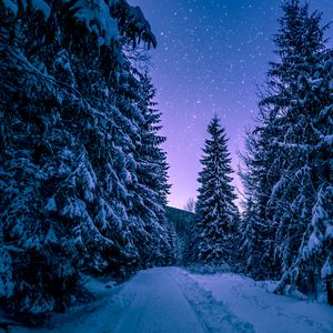 Preview wallpaper winter, forest, road, snow, starry sky