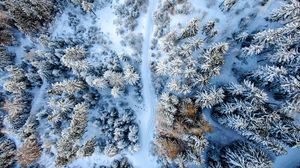 Preview wallpaper winter forest, road, aerial view, snow